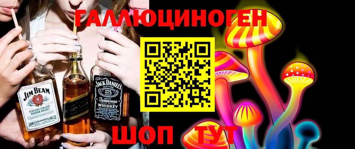 Губкин  Псилоцибиновые грибы мицелий  Вход с VPN  купить наркотики цена  Псилоцибиновые грибы GOLDEN TEACHER 