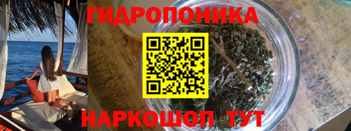 Губкин  Шишки марихуана марихуана  Вход с VPN  Шишки марихуана конопля  Бошки марихуана THC 21%  МАРИХУАНА Ganja 