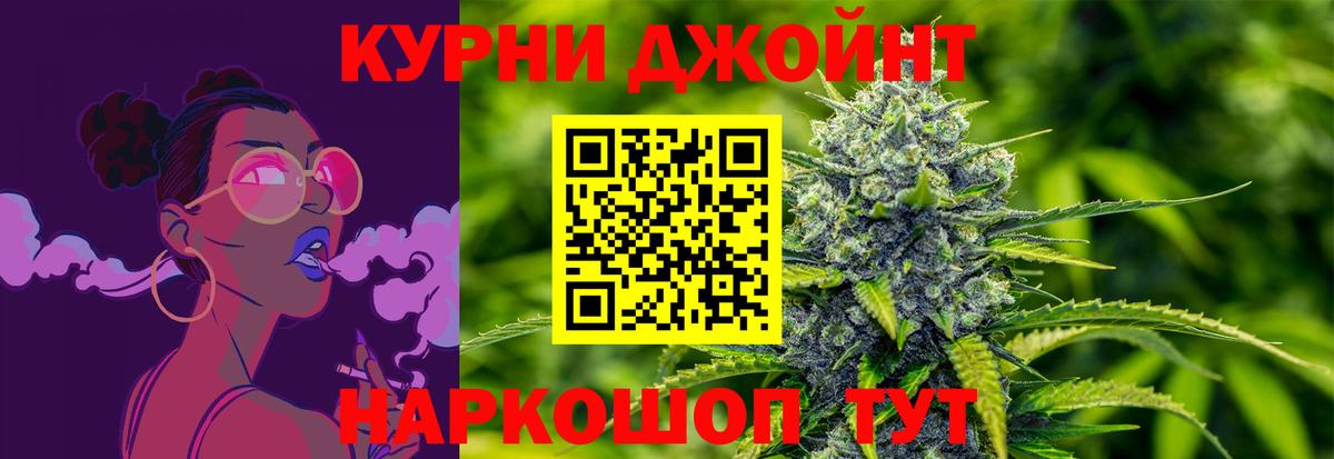 Канабис семена Губкин